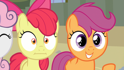 Size: 1920x1080 | Tagged: safe, screencap, apple bloom, scootaloo, sweetie belle, g4, surf and/or turf, :i, cutie mark crusaders