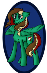 Size: 2104x3200 | Tagged: safe, artist:ponycrown, oc, oc only, oc:red heart, pegasus, pony, chest fluff, high res, male, simple background, solo, stallion, transparent background