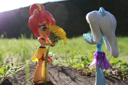 Size: 6000x4000 | Tagged: safe, artist:artofmagicpoland, sunset shimmer, trixie, equestria girls, g4, my little pony equestria girls: better together, cute, diatrixes, doll, equestria girls minis, female, flower, giving, holding, lesbian, shimmerbetes, ship:suntrix, shipping, toy