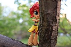 Size: 6000x4000 | Tagged: safe, artist:artofmagicpoland, sunset shimmer, equestria girls, g4, my little pony equestria girls: better together, cute, doll, equestria girls minis, female, hiding, in a tree, irl, photo, shimmerbetes, shy, solo, toy