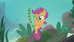 Size: 1280x720 | Tagged: safe, screencap, scootaloo, fish, pegasus, pony, seapony (g4), g4, surf and/or turf, bubble, conch, coral, cute, cutealoo, dorsal fin, female, filly, fin, fin wings, fins, fish tail, flowing mane, flowing tail, foal, happy, ocean, open mouth, open smile, rock, sea-mcs, seaponified, seapony scootaloo, seaquestria, seashell, seaweed, smiling, solo, species swap, spread wings, swimming, tail, underwater, water, wings