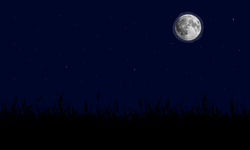Size: 1000x600 | Tagged: safe, background, field, moon, night, no pony