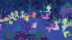 Size: 1280x720 | Tagged: safe, screencap, apple bloom, coral dust, cucumber bubbles, drizzling sky, flush typhoon, misty shores, ocean mist, scootaloo, sweetie belle, terramar, twilight sparkle, wind storm, alicorn, seapony (g4), g4, surf and/or turf, background sea pony, cutie mark crusaders, sea-mcs, seaponified, seapony apple bloom, seapony scootaloo, seapony sweetie belle, seapony twilight, seaquestria, species swap, swimming, twilight sparkle (alicorn), underwater