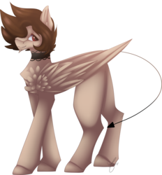 Size: 1747x1881 | Tagged: safe, artist:mauuwde, oc, oc only, oc:daelyn, pegasus, pony, choker, male, simple background, solo, stallion, transparent background