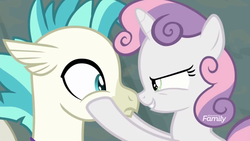 Size: 1366x768 | Tagged: safe, screencap, sweetie belle, terramar, hippogriff, pony, unicorn, g4, surf and/or turf, boop, cheek squish, female, filly, male, noseboop, not sure if want, out of context, squishy cheeks