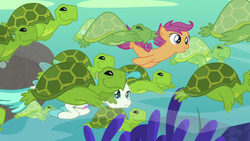 Size: 1280x720 | Tagged: safe, screencap, scootaloo, terramar, fish, pegasus, pony, seapony (g4), turtle, g4, surf and/or turf, bubble, coral, cute, cutealoo, dorsal fin, female, filly, fin, fin wings, fins, fish tail, flowing mane, flowing tail, foal, jewelry, male, necklace, ocean, open mouth, open smile, rock, scales, sea turtle, sea-mcs, seaponified, seapony scootaloo, seaquestria, seashell, seaweed, smiling, solo, species swap, spread wings, swimming, tail, teeth, underwater, water, wings, your heart is in two places