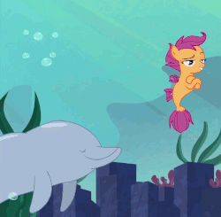 Size: 1038x1016 | Tagged: safe, screencap, scootaloo, dolphin, porpoise, seapony (g4), g4, surf and/or turf, animated, cropped, duo, female, filly, high five, hoof on chest, hoofbump, raised eyebrow, sea-mcs, seaponified, seapony scootaloo, smug, species swap, underwater, your heart is in two places