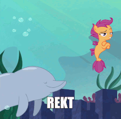 Size: 1038x1016 | Tagged: safe, edit, edited screencap, screencap, scootaloo, dolphin, porpoise, seapony (g4), g4, surf and/or turf, animated, bubble, cropped, duo, female, filly, grin, high five, hoof on chest, hoofbump, image macro, lidded eyes, meme, raised eyebrow, reaction image, rekt, sea-mcs, seaponified, seapony scootaloo, smiling, smirk, smug, species swap, underwater, your heart is in two places