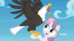 Size: 1600x900 | Tagged: safe, screencap, sweetie belle, bald eagle, eagle, pony, unicorn, g4, surf and/or turf, falconry, female, filly, open beak, screech, solo, spread wings, wings