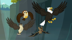 Size: 1280x720 | Tagged: safe, screencap, bald eagle, bat, bird, eagle, falcon, owl, peregrine falcon, g4, may the best pet win, season 2, animal, bird of prey, flying, ghastly gorge, gorge, scared, spread wings, wings