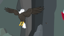 Size: 1280x720 | Tagged: safe, screencap, bald eagle, bird, eagle, g4, may the best pet win, flying, headless, modular, spread wings, wings