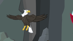 Size: 1280x720 | Tagged: safe, screencap, bald eagle, bird, eagle, g4, may the best pet win, aside glance, flying, looking to the left, spread wings, wings