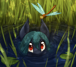 Size: 1679x1480 | Tagged: safe, artist:otakuap, oc, oc only, bat pony, dragonfly, pony, bat pony oc, cute, eyes on the prize, reeds, slit pupils, solo, water