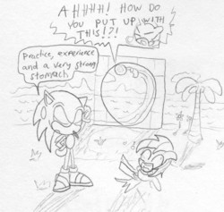 Size: 1156x1097 | Tagged: safe, artist:slizergiy, rainbow dash, rarity, g4, ball, crossover, dialogue, eyes closed, laughing, male, meme, monochrome, rariball, rolling, sonic the hedgehog, sonic the hedgehog (series), spin dash
