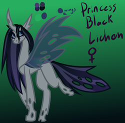 Size: 818x804 | Tagged: safe, artist:eppyminecart, oc, oc only, oc:princess black lichen, changeling, hybrid, icey-verse, changeling oc, female, gradient background, interspecies offspring, offspring, parent:queen chrysalis, parent:shining armor, parents:shining chrysalis, purple changeling, solo, white changeling
