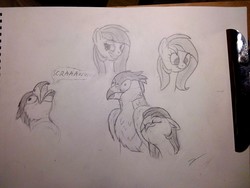 Size: 3264x2448 | Tagged: safe, artist:gammahoof, oc, oc only, griffon, pony, doodle, eyes closed, female, high res, male, mare, non-consensual nuzzling, nuzzling, pencil drawing, sketch, sketch dump, traditional art, wide eyes