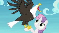 Size: 1920x1080 | Tagged: safe, screencap, sweetie belle, bald eagle, eagle, pony, unicorn, g4, surf and/or turf, falconry, female, filly, open beak, screech, solo, spread wings, wings