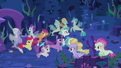 Size: 1920x1080 | Tagged: safe, screencap, apple bloom, coral dust, drizzling sky, lavender breeze, misty shores, scootaloo, sweetie belle, terramar, twilight sparkle, alicorn, seapony (g4), g4, surf and/or turf, cutie mark crusaders, horn, open mouth, sea-mcs, seaponified, seapony apple bloom, seapony scootaloo, seapony sweetie belle, seapony twilight, seaquestria, smiling, species swap, twilight sparkle (alicorn), underwater, unnamed character, unnamed seapony, water