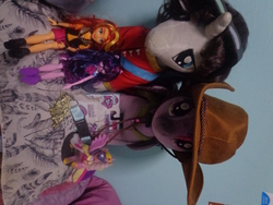 Size: 3456x4608 | Tagged: safe, sci-twi, shining armor, sunset shimmer, twilight sparkle, pony, unicorn, equestria girls, g4, build-a-bear, collection, doctor strange, doll, friendship run, hat, irl, medal, photo, plushie, toy