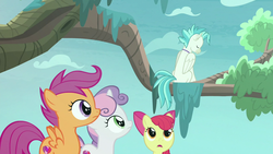 Size: 1280x720 | Tagged: safe, screencap, apple bloom, scootaloo, sweetie belle, terramar, classical hippogriff, earth pony, hippogriff, pegasus, pony, unicorn, g4, surf and/or turf, cutie mark crusaders, depressed, guilty, jewelry, looking up, necklace, sitting, sitting in a tree, tree
