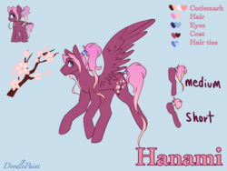 Size: 1024x768 | Tagged: safe, artist:doodlepaintdraws, oc, oc only, oc:hanami, pegasus, pony, female, mare, reference sheet, solo