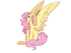 Size: 1024x768 | Tagged: safe, artist:doodlepaintdraws, fluttershy, pony, g4, female, simple background, sitting, solo, white background