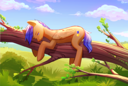 Size: 3725x2500 | Tagged: safe, artist:guddoshy, oc, oc:crushingvictory, pegasus, pony, alternate hairstyle, commission, folded wings, full color, high res, lying down, male, nature, scenery, sleepy, smiling, stallion, tree, tree branch, ych result