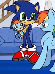 Size: 332x443 | Tagged: safe, rainbow dash, pony, g4, crossover, female, interspecies, male, parent:rainbow dash, parent:sonic the hedgehog, parents:sonicdash, shipping, sonic the hedgehog, sonic the hedgehog (series), sonicdash, straight