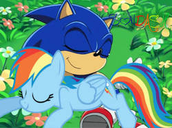 Size: 443x332 | Tagged: safe, rainbow dash, pony, g4, copy and paste, crossover, cut and paste, male, sonic the hedgehog, sonic the hedgehog (series)