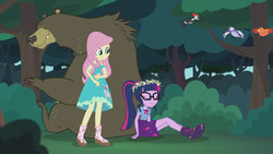 Size: 2208x1242 | Tagged: safe, screencap, constance, fluttershy, harry, sci-twi, twilight sparkle, bear, bird, butterfly, songbird, woodpecker, equestria girls, g4, my little pony equestria girls: better together, stressed in show, stressed in show: fluttershy, boots, bowtie, chickadee (bird), clothes, cute, dress, eyes closed, floral head wreath, flower, geode of telekinesis, glasses, magical geodes, mud, muddy, ponytail, shoes, shyabetes, skirt, sleeping, tree, twiabetes