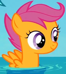 Size: 462x519 | Tagged: safe, screencap, scootaloo, pegasus, pony, g4, my little pony: friendship is magic, surf and/or turf, cropped, cute, cutealoo, female, filly, pegaduck, solo, spread wings, water, wings