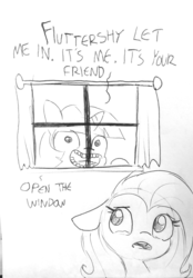 Size: 1337x1920 | Tagged: safe, artist:tjpones, fluttershy, twilight sparkle, alicorn, pegasus, pony, g4, black and white, creepy, creepy smile, crying, description is relevant, dialogue, dude let me in, duo, female, grayscale, lineart, mare, monochrome, salem's lot, seems legit, smiling, story included, stranger danger, traditional art, twilight sparkle (alicorn), window