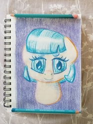 Size: 2600x3467 | Tagged: safe, artist:shoeunit, coco pommel, earth pony, pony, g4, bust, colored pencil drawing, female, high res, mare, portrait, sketchbook, solo, traditional art