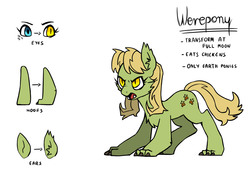 Size: 1600x1200 | Tagged: safe, artist:pikokko, oc, oc only, oc:seed seeker (syd), hengstwolf, werewolf, cheek fluff, chest fluff, ear fluff, female, mare, offspring, parent:applejack, parent:caramel, parents:carajack, reference sheet, simple background, solo, white background
