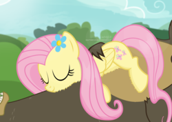 Size: 3174x2245 | Tagged: safe, artist:shutterflyeqd, fluttershy, harry, bear, pegasus, pony, g4, cute, duo, female, flower, flower in hair, high res, lying on top of someone, mare, shyabetes, sleeping