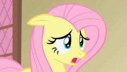 Size: 1280x720 | Tagged: safe, screencap, fluttershy, pegasus, pony, a bird in the hoof, g4, season 1, animated, female, mare, oh my, reaction image, solo, sound, webm