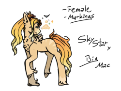 Size: 1600x1200 | Tagged: safe, artist:jaysey, oc, oc only, hybrid, chest fluff, female, interspecies offspring, offspring, parent:big macintosh, parent:princess skystar, simple background, small wings, solo, transparent background, unshorn fetlocks