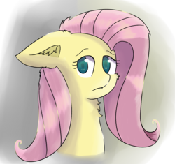 Size: 1246x1169 | Tagged: safe, artist:ppptly, fluttershy, pony, g4, ear fluff, fangs, female, floppy ears, looking at you, simple background, solo, transparent background