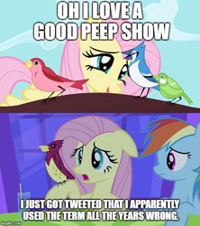 Size: 500x562 | Tagged: safe, edit, edited screencap, screencap, fluttershy, rainbow dash, bird, blue jay, pony, songbird, a canterlot wedding, friendship is magic, g4, comic, female, image macro, mare, meme, screencap comic