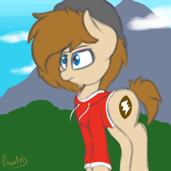 Size: 2000x2000 | Tagged: safe, artist:claudearts, oc, oc only, oc:zone blitz, earth pony, pony, beanie, bottomless, clothes, cloud, facial hair, goatee, hat, high res, hoodie, mountain, partial nudity, solo