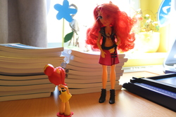 Size: 6000x4000 | Tagged: safe, artist:artofmagicpoland, sunset shimmer, equestria girls, g4, my little pony equestria girls: better together, doll, duality, equestria girls minis, eqventures of the minis, female, irl, photo, reboot series, toy