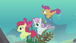 Size: 1280x720 | Tagged: safe, screencap, apple bloom, scootaloo, sweetie belle, seapony (g4), g4, surf and/or turf, cutie mark crusaders, female, filly, sea-mcs, seaponified, seapony apple bloom, seapony scootaloo, seapony sweetie belle, species swap, swimming, trio, underwater