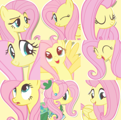 Size: 900x897 | Tagged: safe, edit, screencap, fluttershy, pegasus, pony, g4, clothes, collage, compilation, cute, eyes closed, female, happy, mare, one eye closed, open mouth, shyabetes, smiling, solo, spread wings, wings, wink