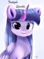 Size: 1024x1365 | Tagged: safe, artist:latia122, twilight sparkle, alicorn, pony, g4, cute, female, fluffy, looking at you, mare, solo, twiabetes, twilight sparkle (alicorn)