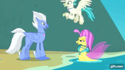 Size: 640x360 | Tagged: safe, screencap, ocean flow, sky beak, terramar, classical hippogriff, hippogriff, seapony (g4), g4, surf and/or turf, animated, beach, cute, family, father and son, female, gif, husband and wife, male, mother and son, nuzzling, terrabetes, water