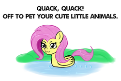 Size: 1500x1000 | Tagged: safe, artist:canister, fluttershy, duck pony, pegasus, pony, g4, >:3, caption, female, flutterduck, masterpiece, pegaduck, pure unfiltered evil, quack, solo, swimming, water