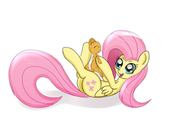 Size: 1500x1159 | Tagged: safe, artist:canister, fluttershy, cat, pegasus, pony, g4, cute, eyes closed, female, happy, holding, kitten, on back, open mouth, shyabetes, simple background, smiling, solo, white background