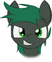 Size: 435x522 | Tagged: safe, artist:lofis, derpibooru exclusive, oc, oc only, oc:minus, earth pony, pony, bust, colored, green eyes, green mane, grin, looking at you, male, simple background, smiling, solo, transparent background