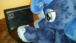 Size: 1920x1080 | Tagged: safe, princess luna, rarity, pony, g4, /mlp/, 4chan, computer, irl, laptop computer, photo, plushie