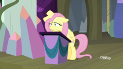 Size: 1920x1080 | Tagged: safe, screencap, fluttershy, g4, horse play, bipedal, discovery family logo, podium